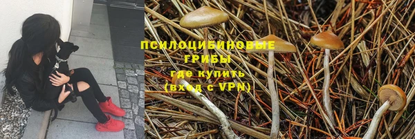 амфетамин Алексеевка