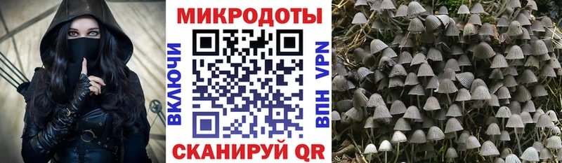 Галлюциногенные грибы Cubensis  Ессентукская 